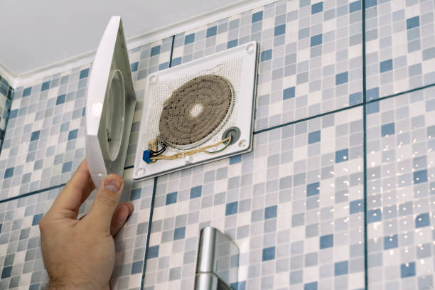 Best Air Duct Sanitizing Services  in San Felipe, TX