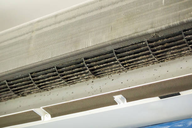 Best Air Duct Cleaning Near Me  in San Felipe, TX
