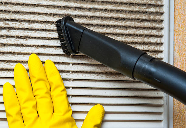 Best Professional Duct Cleaning Services  in San Felipe, TX